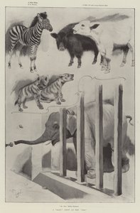 Pokaz dla dzieci w zoo